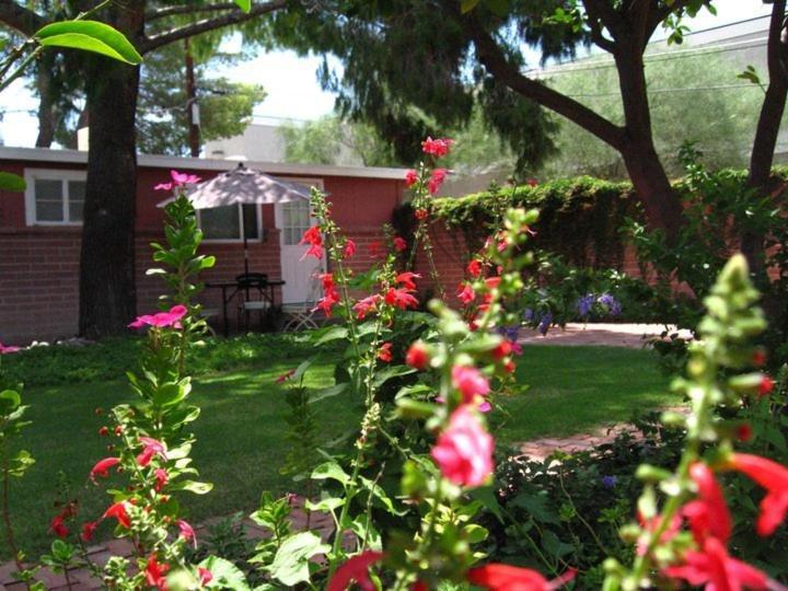 Mon Ami Bed And Breakfast Tucson Szoba fotó